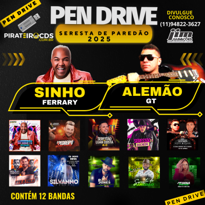 Pendrive Seresta de Paredão 2025 Link Concertado