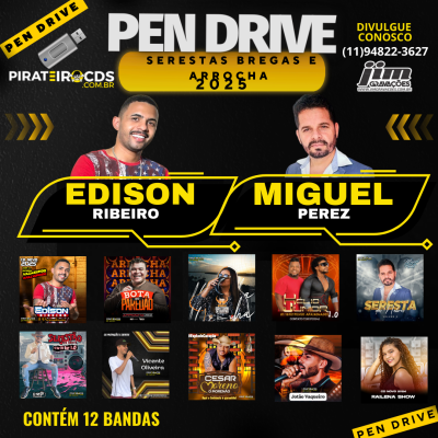 Pendrive Serestas Bregas e Arrocha 2025 Link Concertado